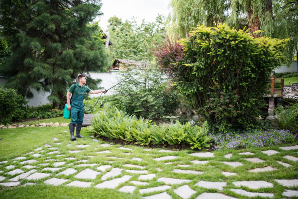 Best Lawn Pest Prevention  in Bloomfield, NM